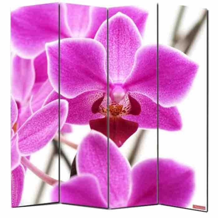 Orchidee Paravent weiß lila – Foto 3