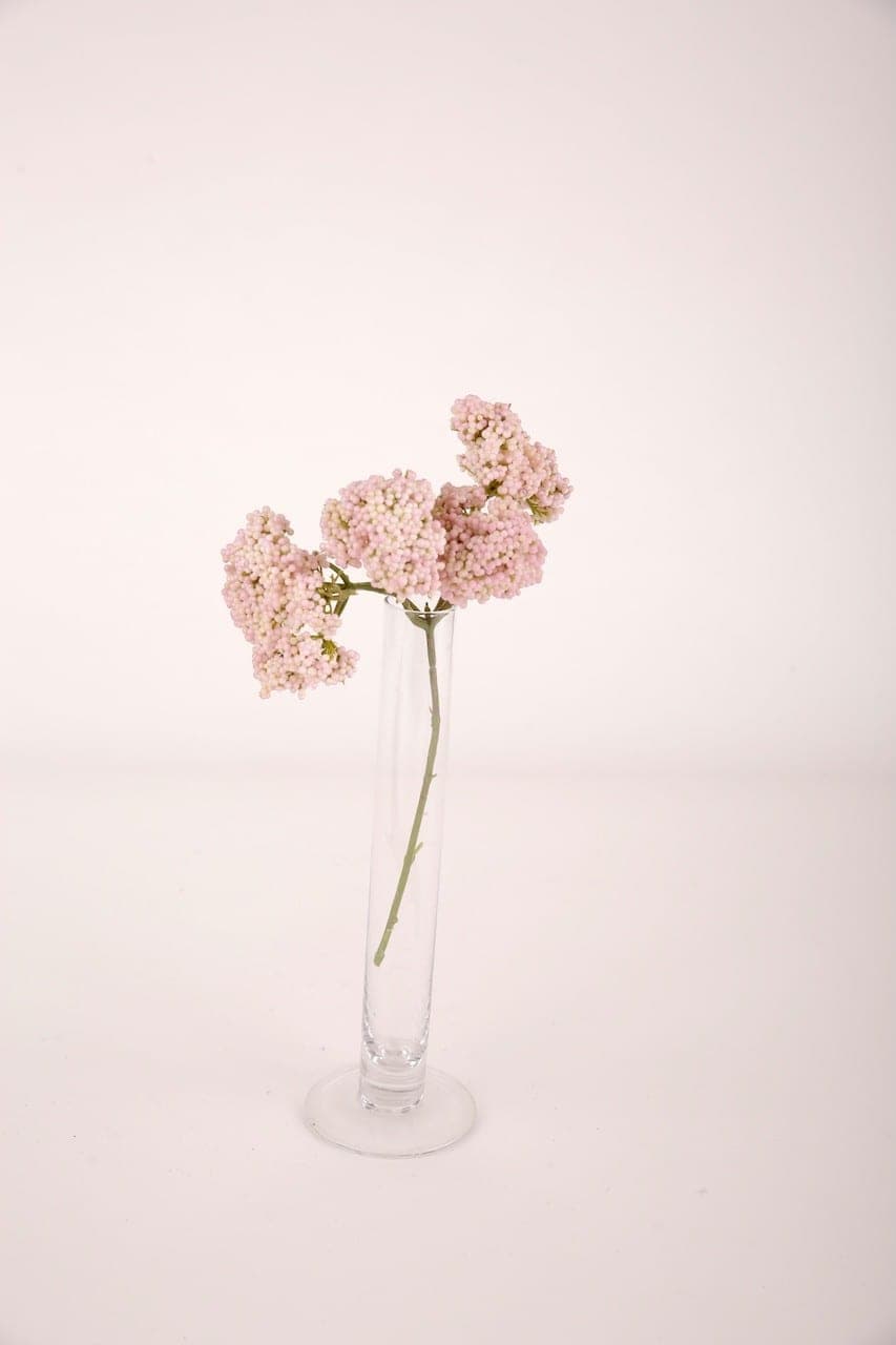Ast mit Beeren altrosa rosa – Blütenform