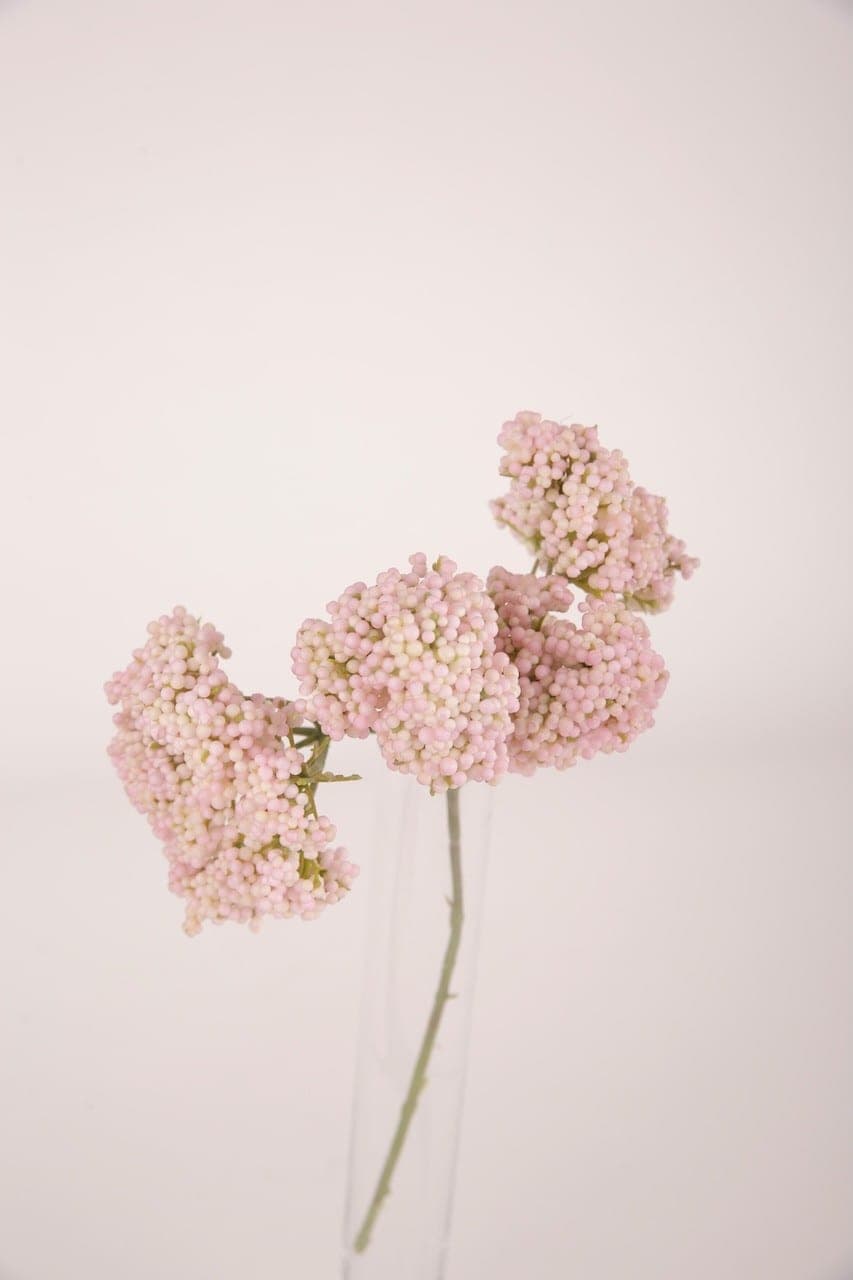 Ast mit Beeren altrosa rosa – Blütenform – Foto 2