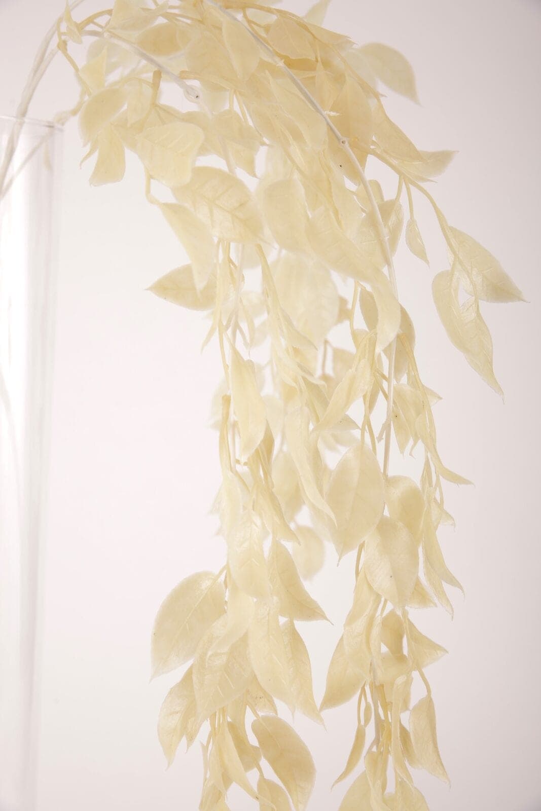 Ast mit Blättern vanille beige – Foto 2