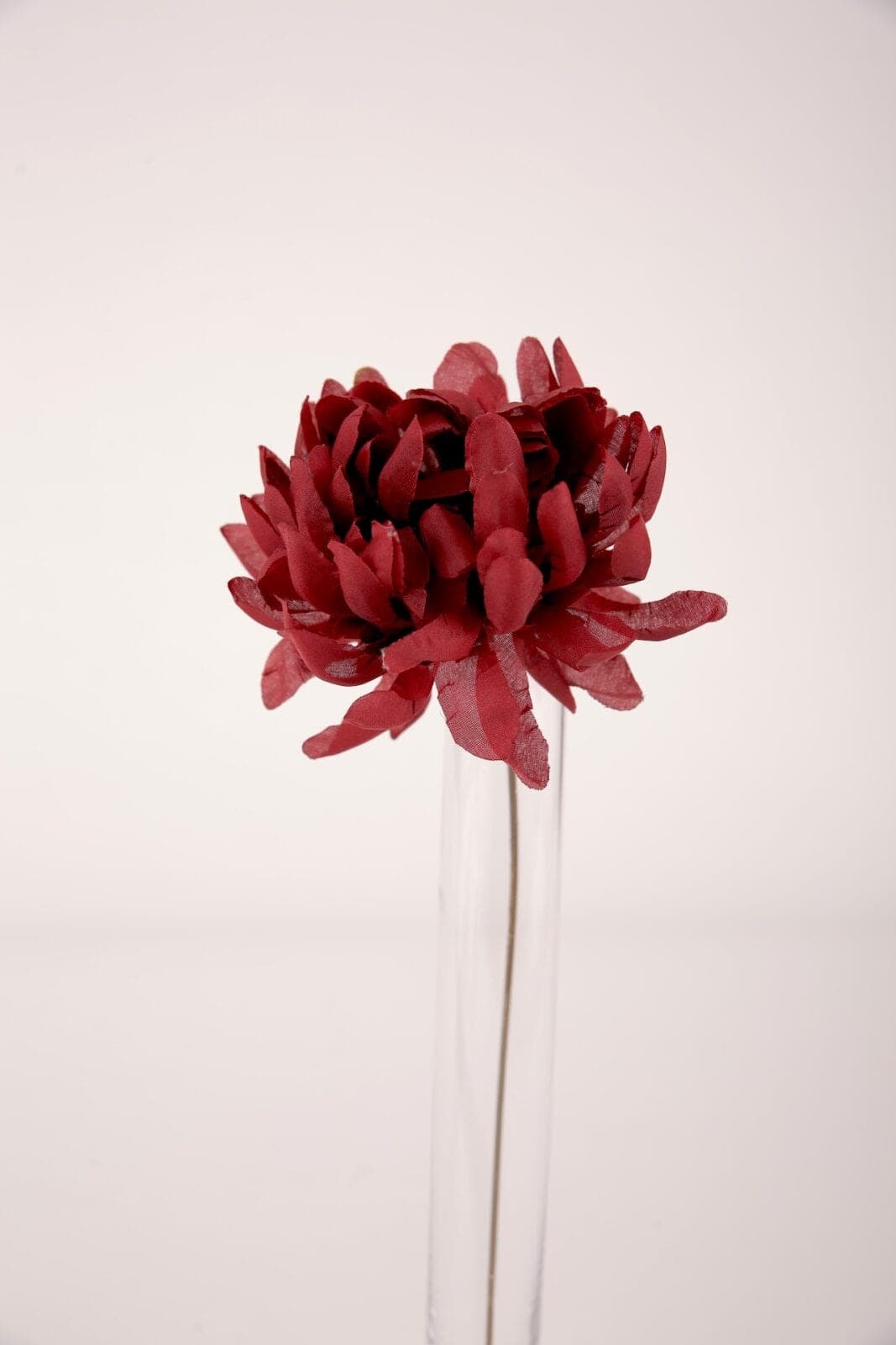 Chrysanthemen dunkelrot boredaux rot