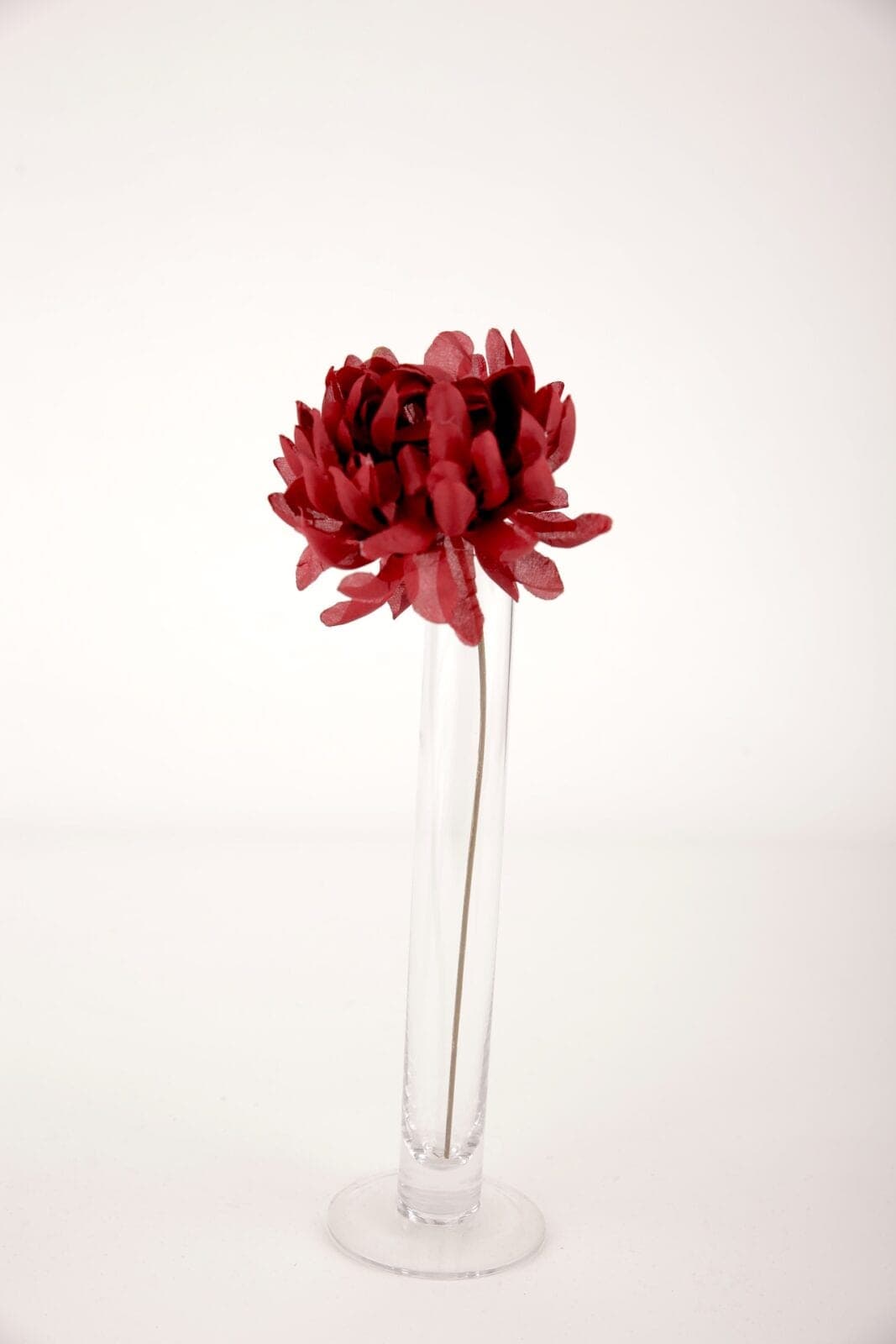 Chrysanthemen dunkelrot boredaux rot – Foto 2