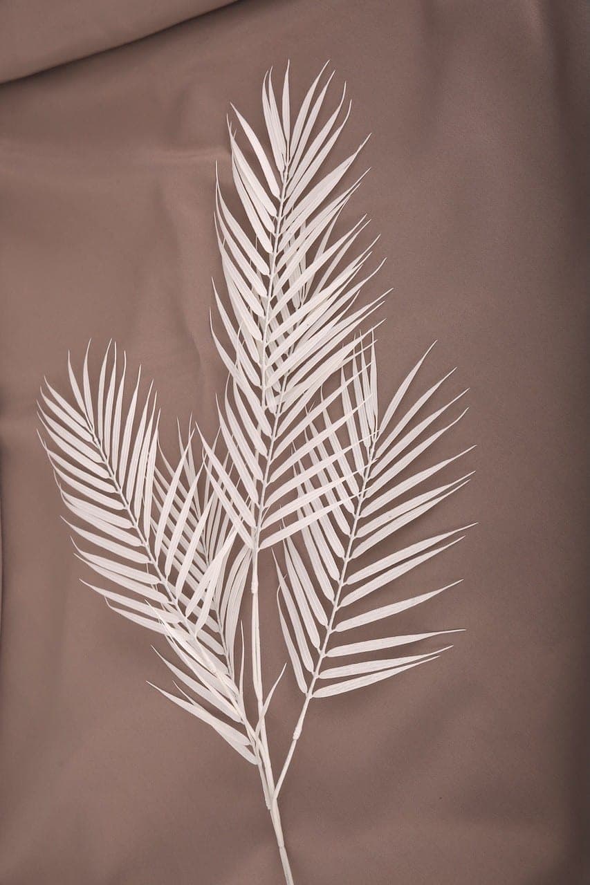 Palmblatt weiß – 1,2 m