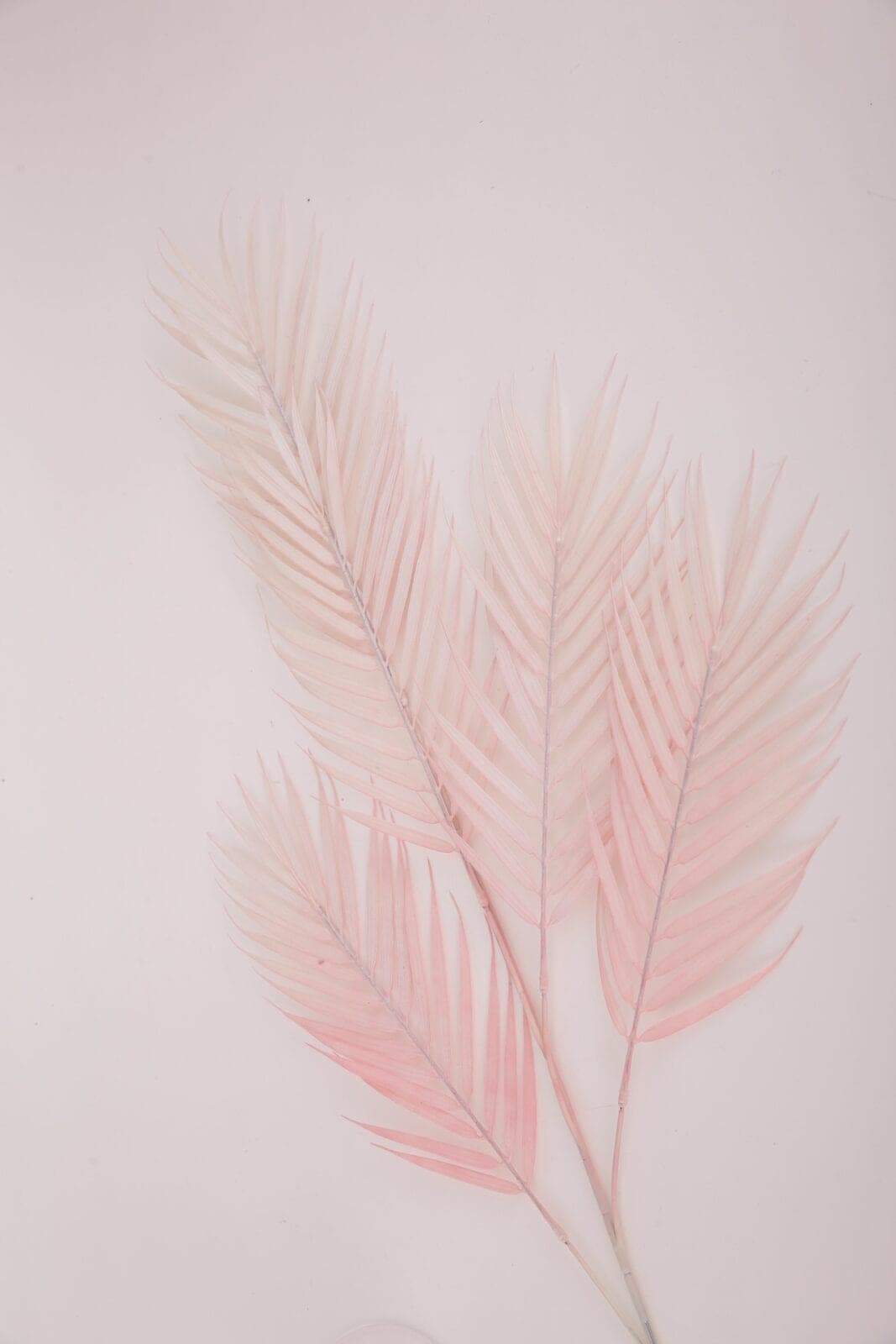 Palmblatt rosa rose – 1,2 m