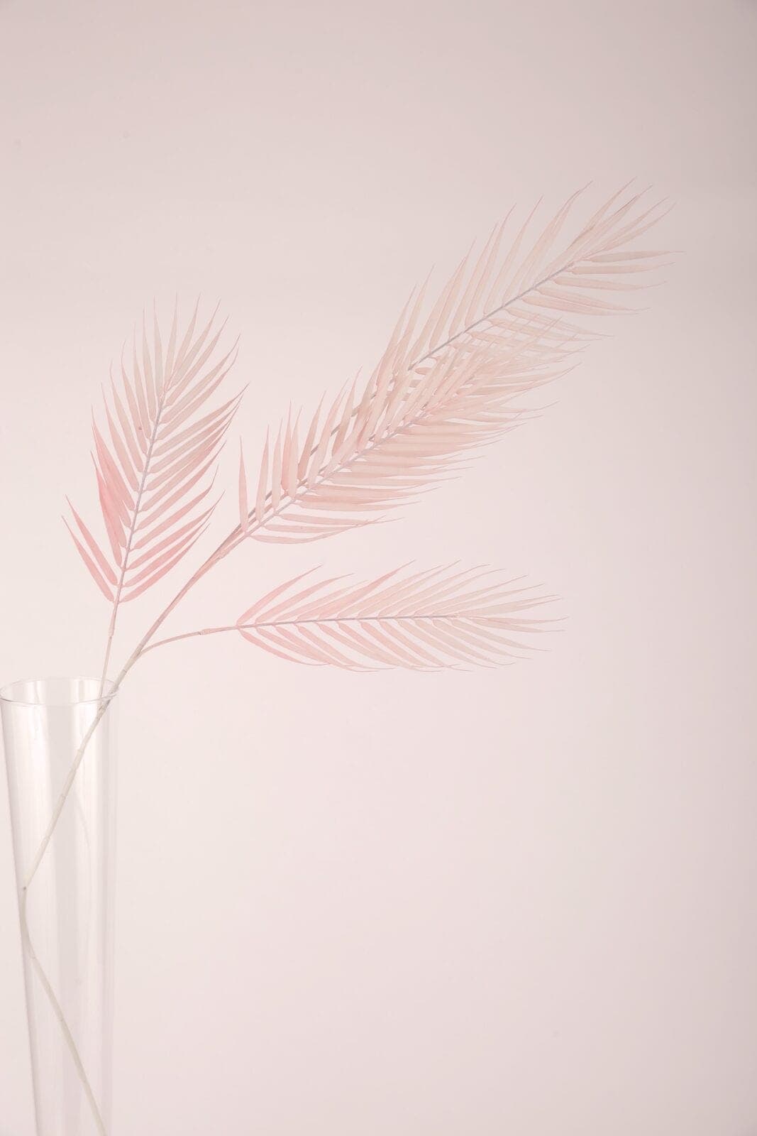 Palmblatt rosa rose – 1,2 m – Foto 2