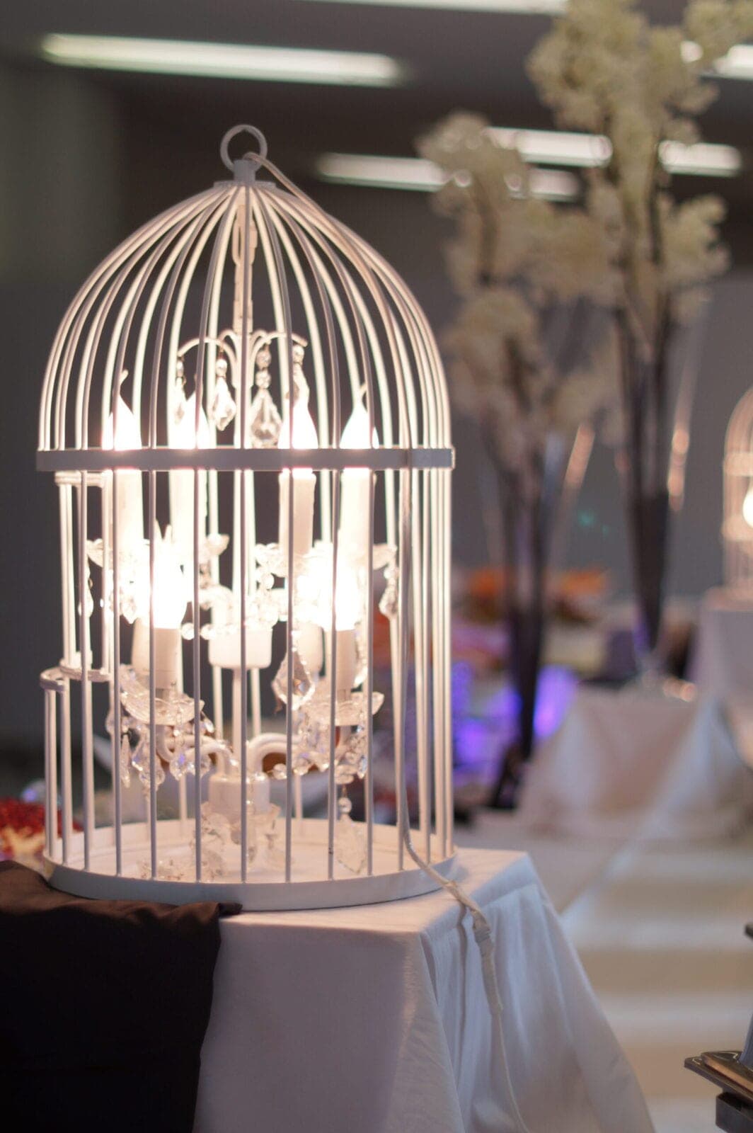 Lampe Käfig Büffetdekoration weiß – Foto 3