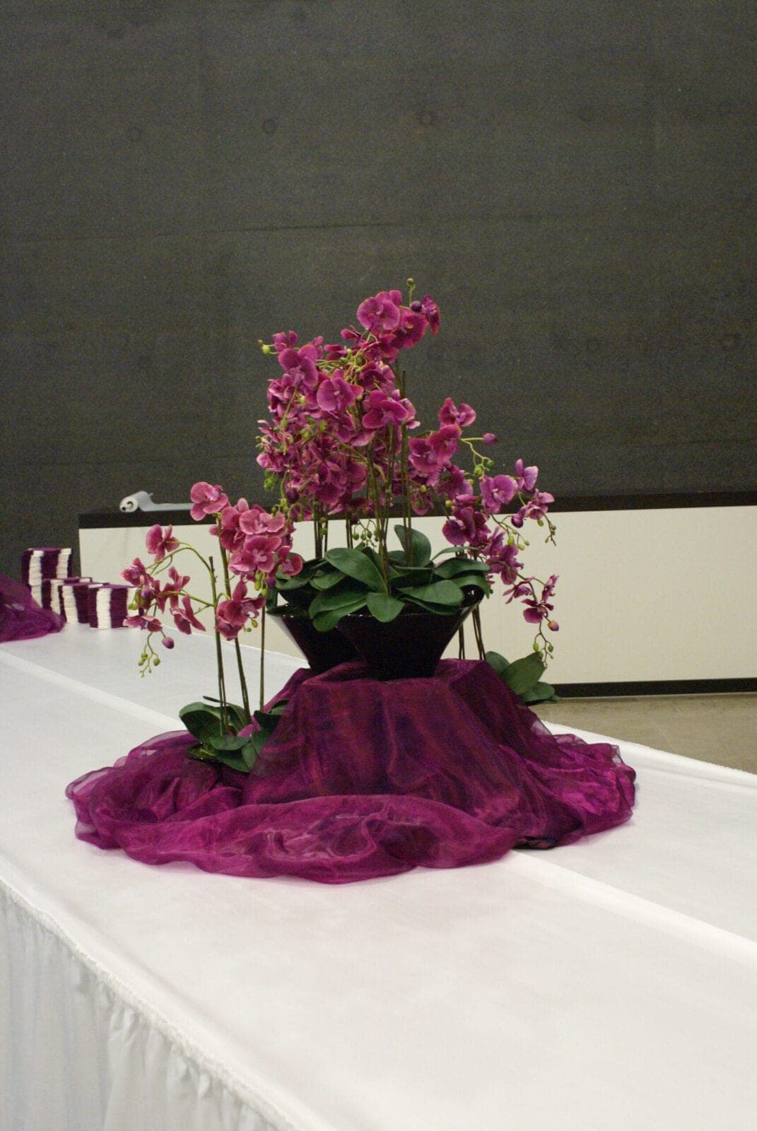 Orchideen Blumentopf violett lila pink