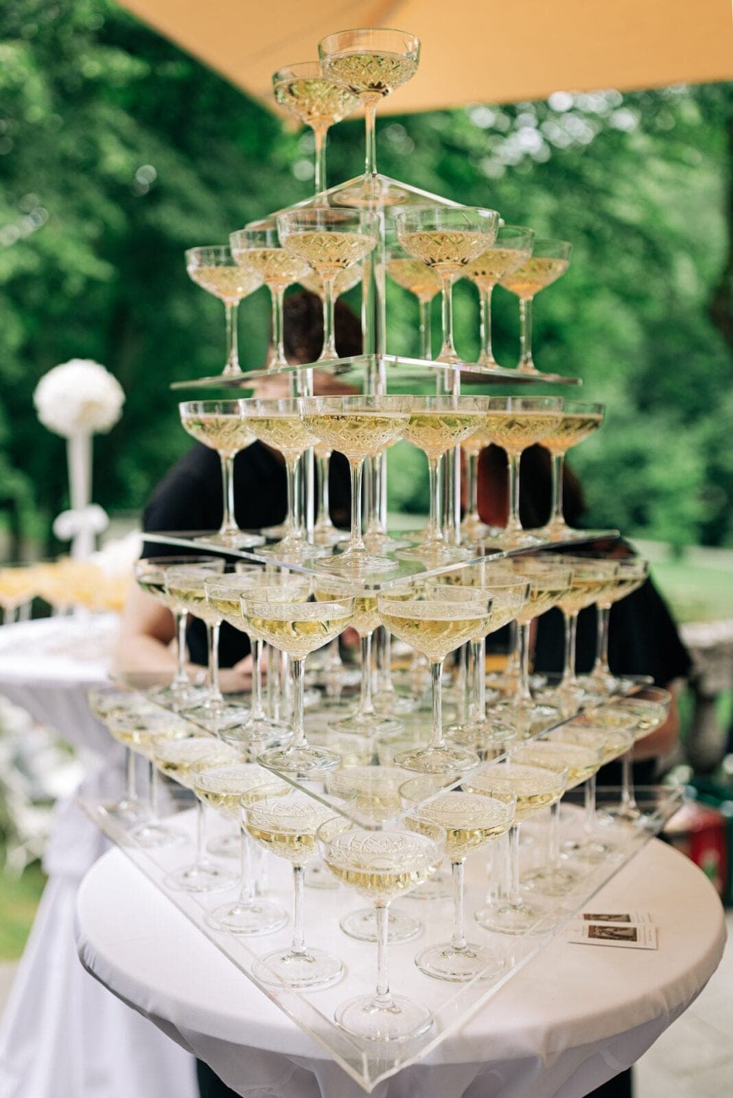 Sektschale Champagnerschale Sektglas – 15,5 cm – Foto 2