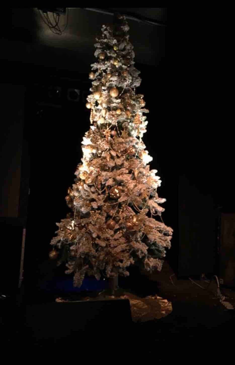 Tannenbaum hoch