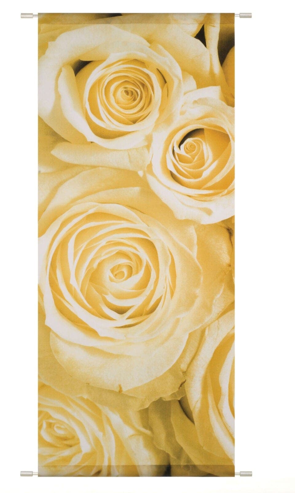 Banner Rosen vanille beige